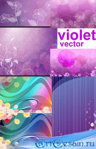     / violet vector