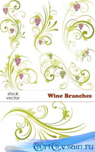 Vectors - Wine Branches