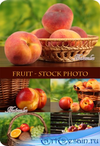 Fruit - Stock Photos