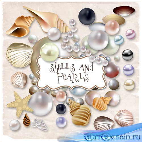 Scrap-kit - Sheals And Pearls