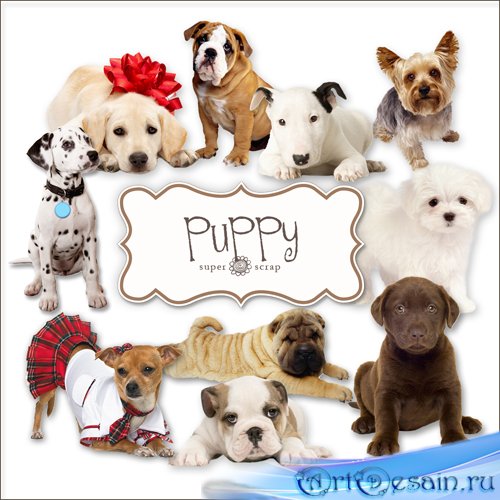 Scrap-kit - Puppy