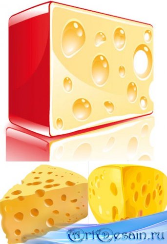    / Cheese vector Collection