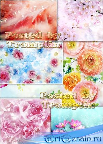       - Backgrounds with flowerses and spangle ...