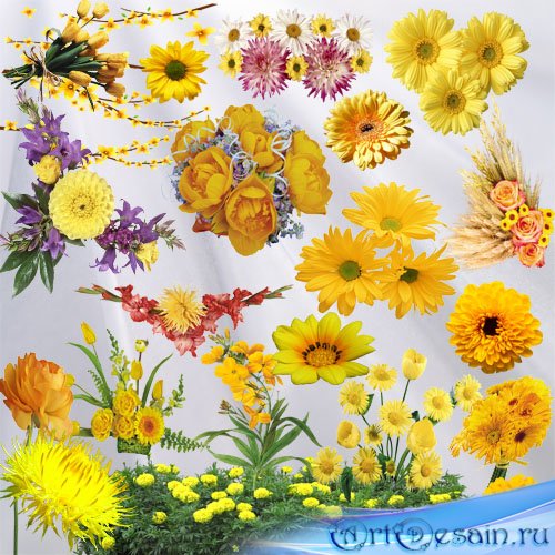 Clipart - Yellow Flowers