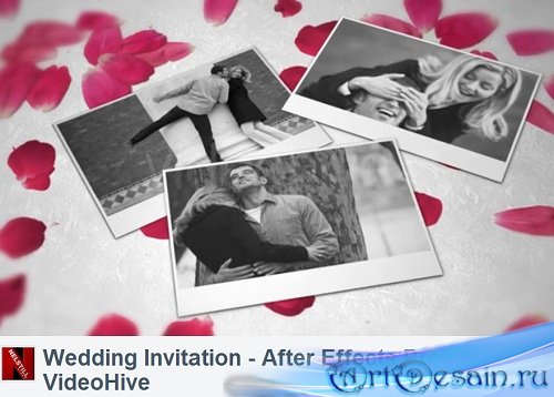 Videohive After Effects Project - Wedding Invitation