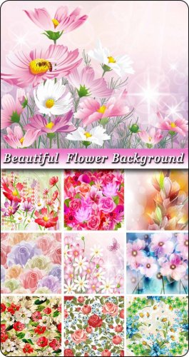      / Beautiful flower backgrounds in vector
