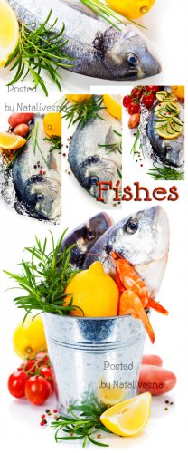    / Fish with a lemon - Stock photo