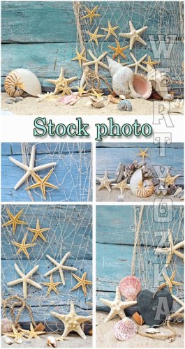   / Marine backgrounds, fishing nets and seashells - Raster clip ...