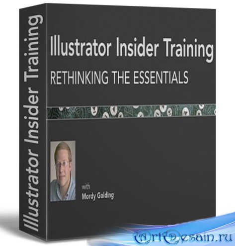 Illustrator Insider Training Rethinking the Essentials