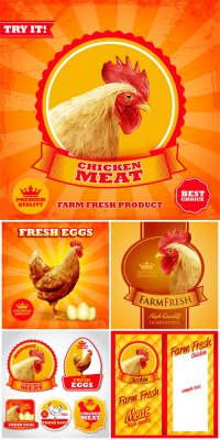       / Vector labels and backgrounds with chicken