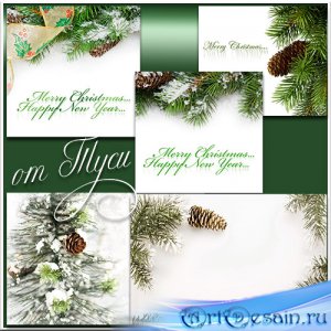    - / Winter backgrounds