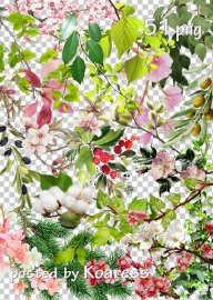 Tree branches, flowers, leaves png -  , ,   png